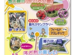 姫の沢_花まつり2012イベントチラシ.jpg