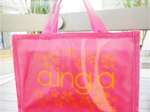 aing-a_spa_bag.jpg